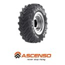 Ascenso TDR 650 480/65 R28 142D