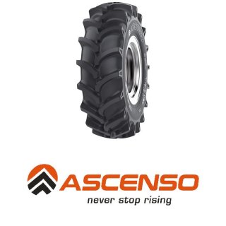 Ascenso TDB121 6.00 -12 71A6 6PR TT