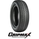 Gripmax Suregrip eWINTER XL 205/55 R17 95V