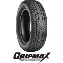 Gripmax Suregrip eWINTER XL 205/40 R17 84V