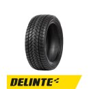 Delinte WD1 195/55 HR15 85H