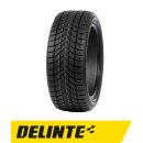 Delinte WD6 175/65 TR15 84T