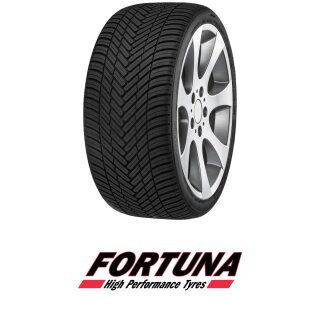 Fortuna EcoPlus 2 VAN 4S 195/75 R16C 107/105S