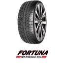 Fortuna EcoPlus HP+ 225/65 R17 102H