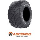 Ascenso FTR 170 I-3 Steel Belted 710/45 R22.5 165D