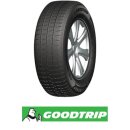 Goodtrip Safeguard AS 225/55 R17C 109/107H