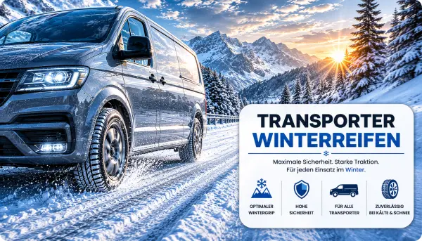 12 Zoll Winterreifen für Transporter kaufen
